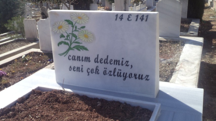 Baştaşı Modeli