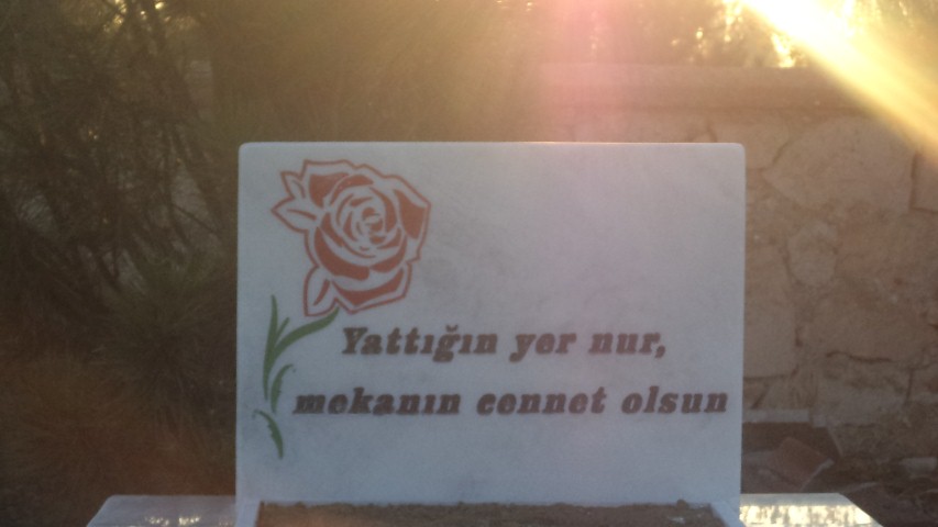Baştaşı Modeli